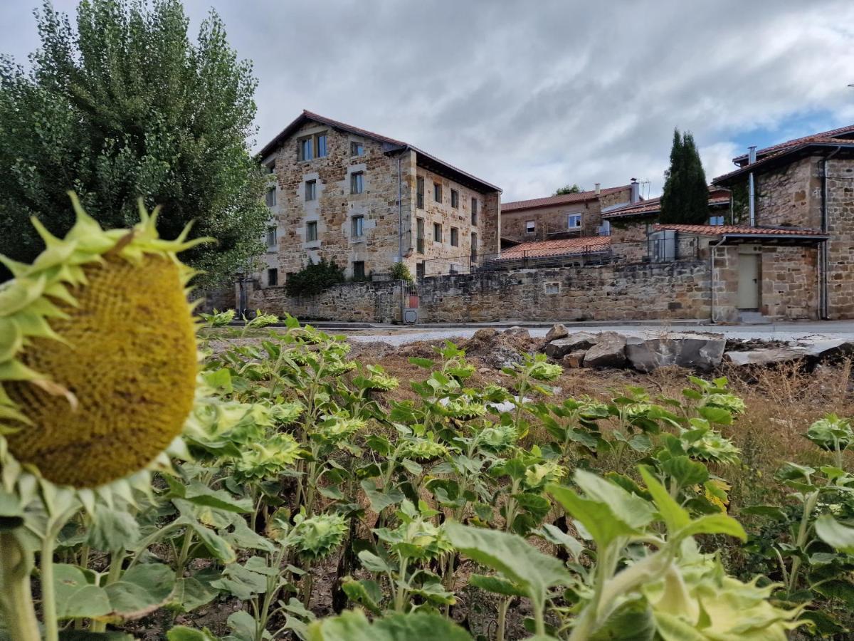 Maison Baron De La Galleta B&B Quintanilla las Torres Dış mekan fotoğraf