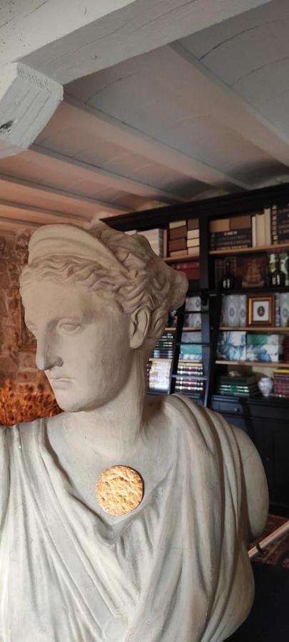 Maison Baron De La Galleta B&B Quintanilla las Torres Dış mekan fotoğraf