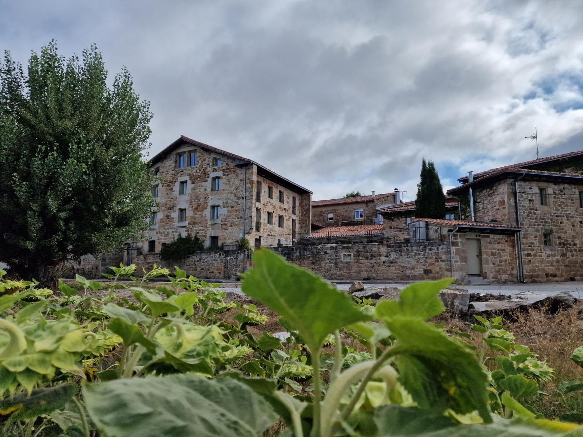 Maison Baron De La Galleta B&B Quintanilla las Torres Dış mekan fotoğraf